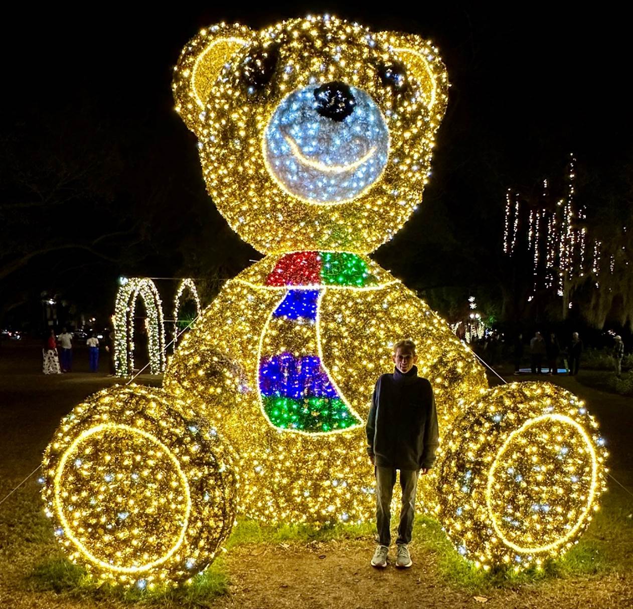 A person standing in front of a large teddy bear made of lights

Description automatically generated